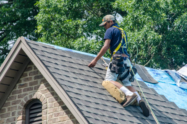 Best Gutter Installation and Roofing  in Highland, AR